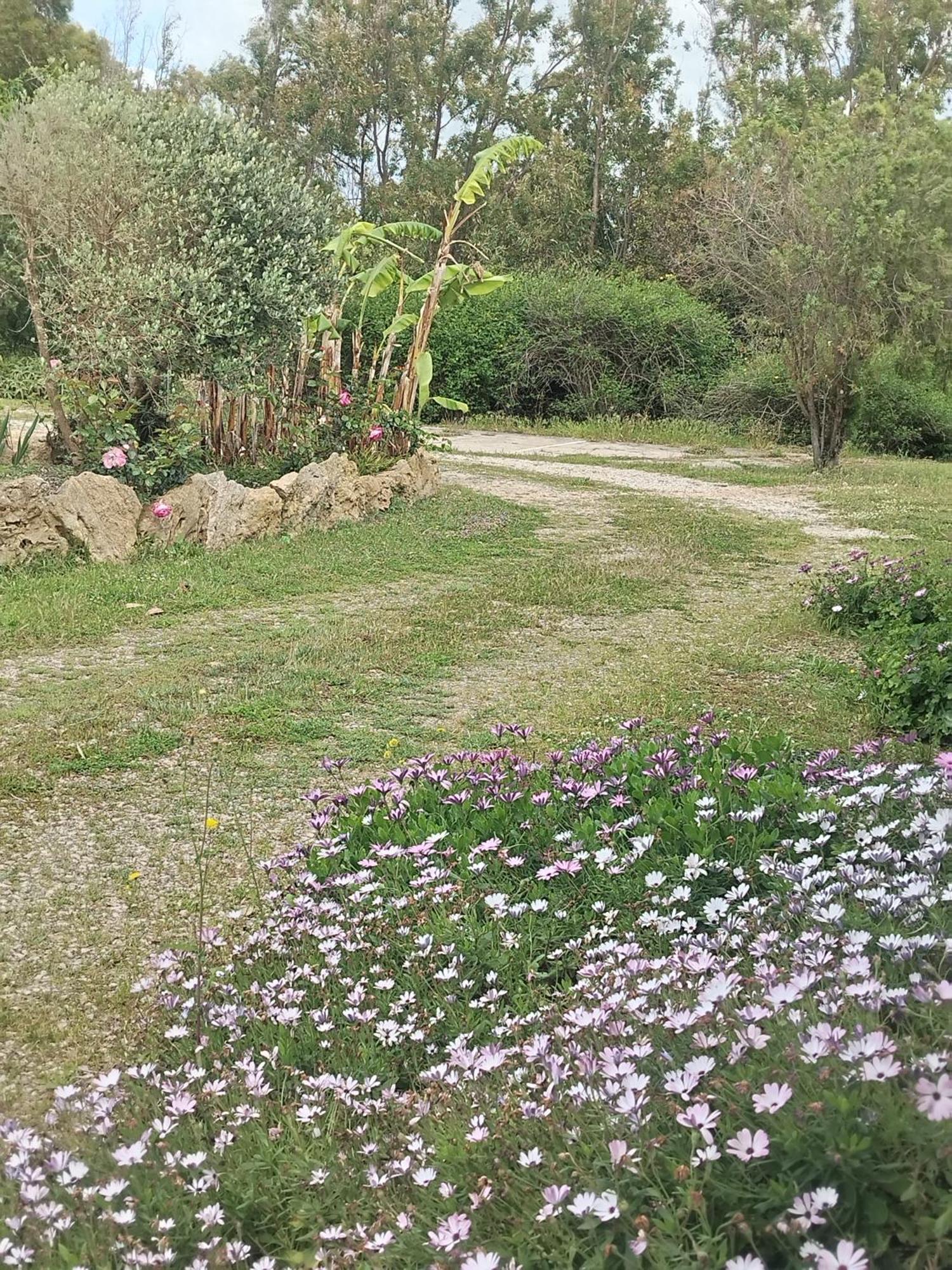 Camera Serraona Alghero Zewnętrze zdjęcie